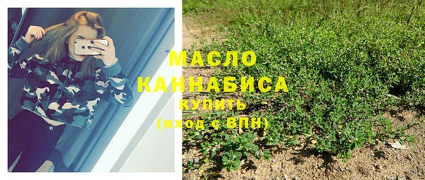 МДПВ Богородск