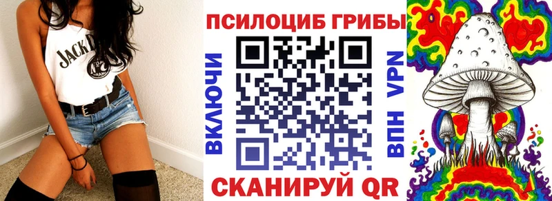 kraken как зайти  где купить наркоту  Няндома  Галлюциногенные грибы мухоморы 