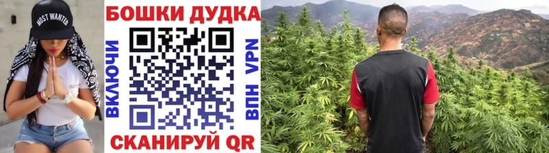 купить закладку  kraken вход  Каннабис AK-47  Няндома 